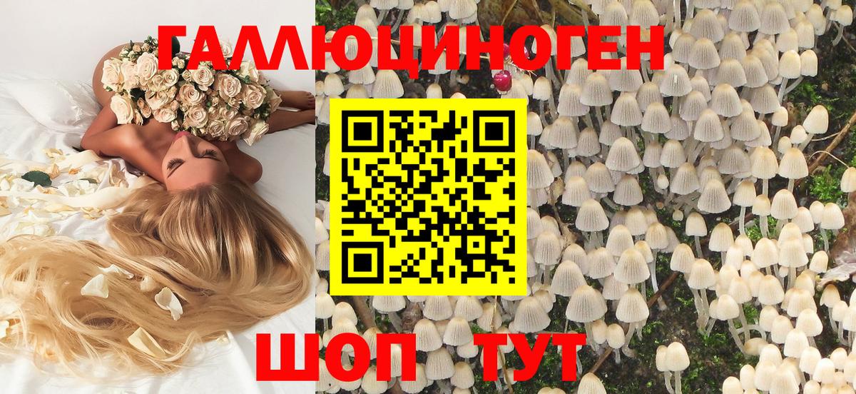 Галлюциногенные грибы Psilocybine cubensis  Вход с VPN  Ишим 