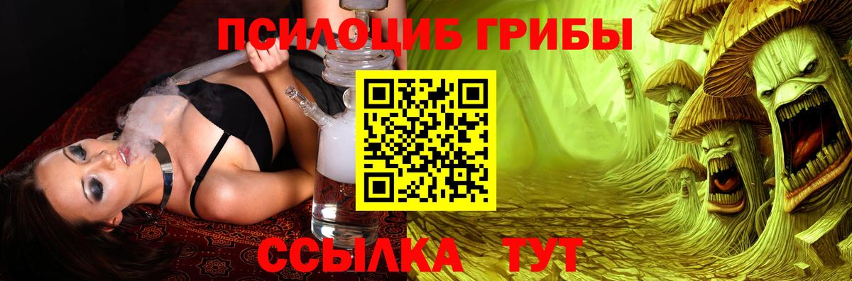 Галлюциногенные грибы GOLDEN TEACHER Ишим