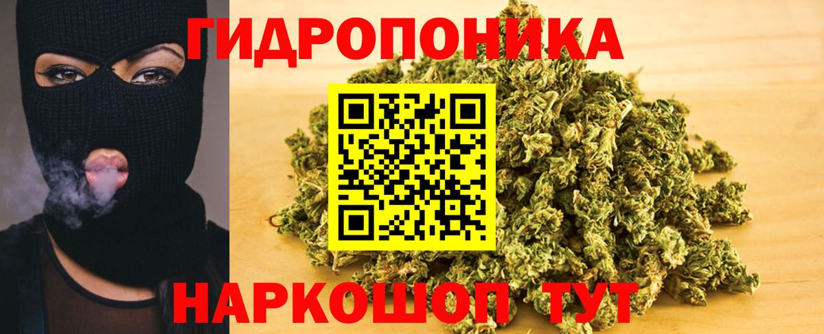Шишки марихуана Bruce Banner  Вход с VPN  Ишим  Шишки марихуана Ganja  Шишки марихуана индика 